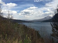 IMG_1981
