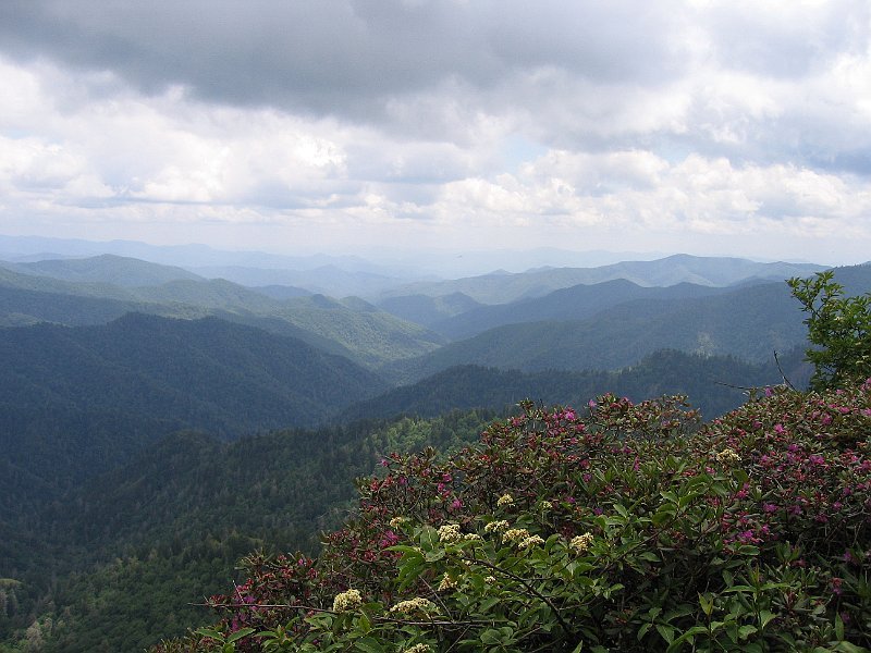Great Smoky Mountains National Park  2008